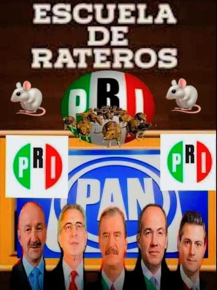 …………‼️ Escuela de Rateros !!……
👇🏻👇🏻👇🏻🐀👇🏻👇🏻👇🏻🐀👇🏻👇🏻👇🏻🐀👇🏻👇🏻