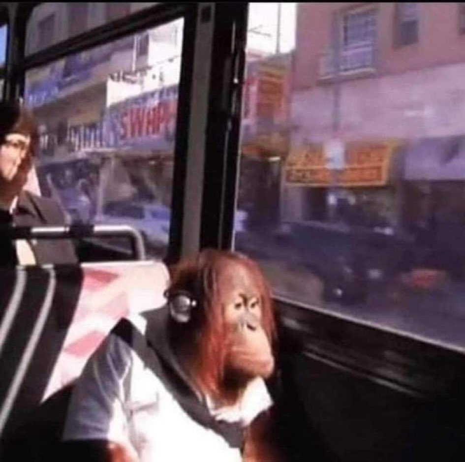 me just waiting for billie content to pop up rn bc theres no live like