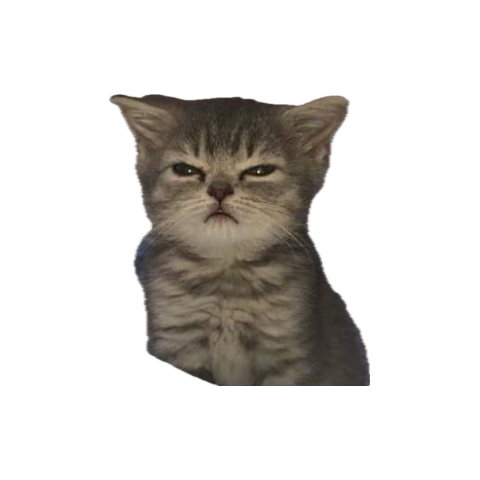 When you have a great idea that would blow up tremendously, but you realize a day later after posting a poll that you gotta do all the setup, management and everything yourself.