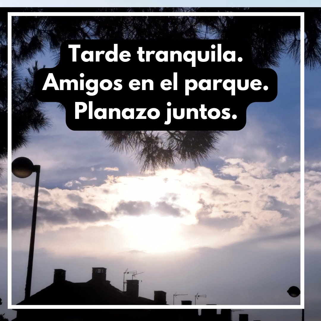 Haiku de sábado, aunque la foto y el momento vivido fuera de ayer. Cuando estar en el césped con amigos es el mejor plan posible ✨