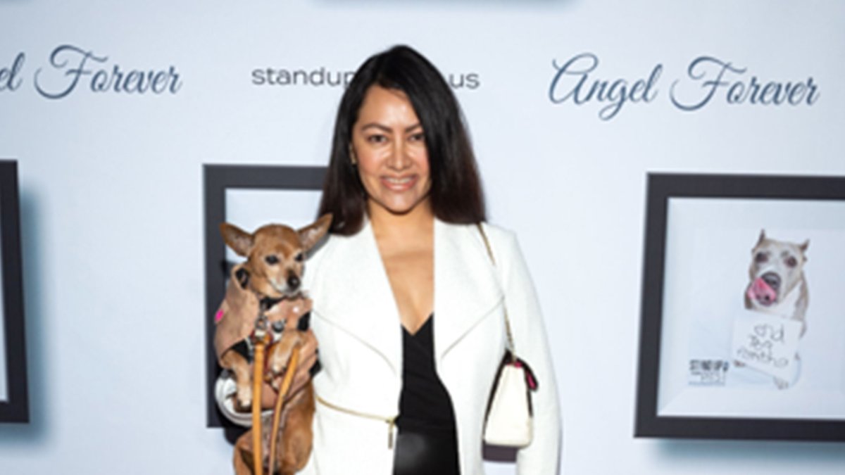 Keyla Wood, la prestigiada actriz mexicana que se ha hecho experta en el manejo de relaciones públicas de las estrellas de Hollywood y de otras latitudes que radican en Estados Unidos acaba de recibir un vergonzoso ultraje a su dignidad por parte de la fundación Stand Up For Pits