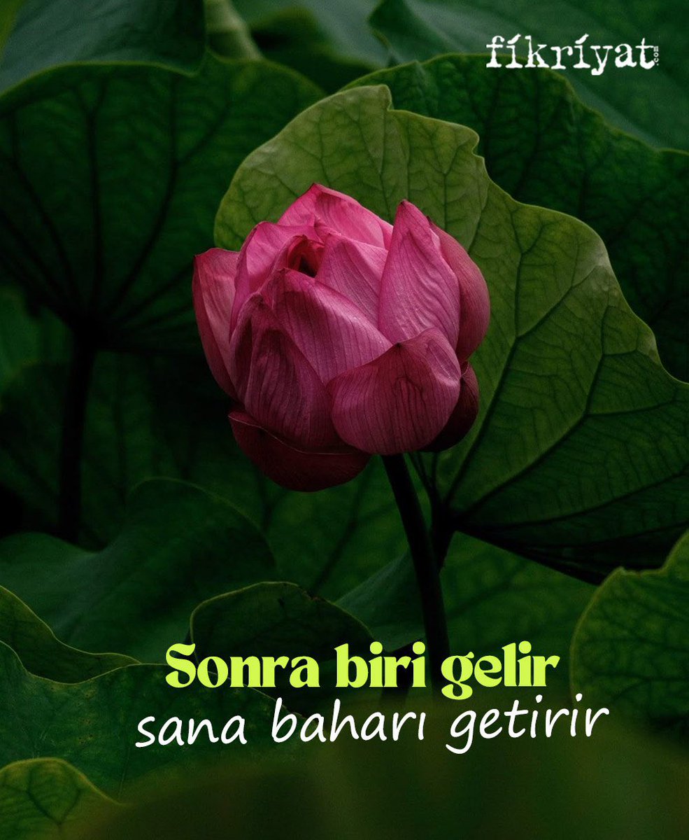 Sonra biri gelir, sana baharı getirir.🌺