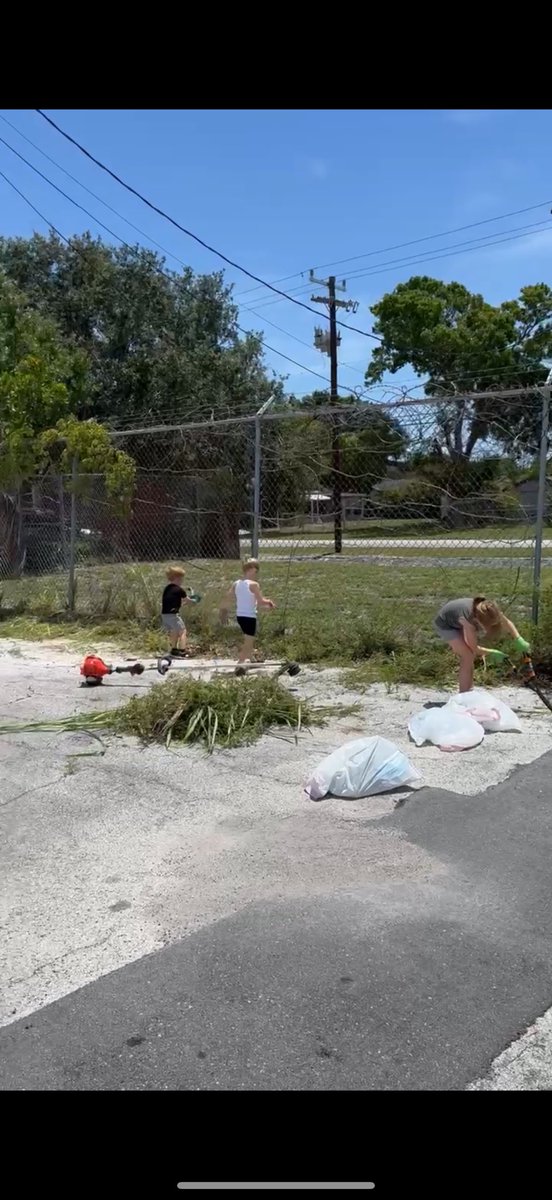 Evan Mouhalis tweet media