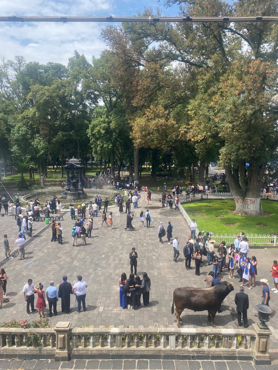 Víctor Villalobos Arámbula tweet media