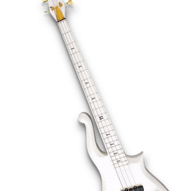 ImABacist's tweet image. Might be the ugliest bass I've ever seen, but at least it's white.
#Bacist