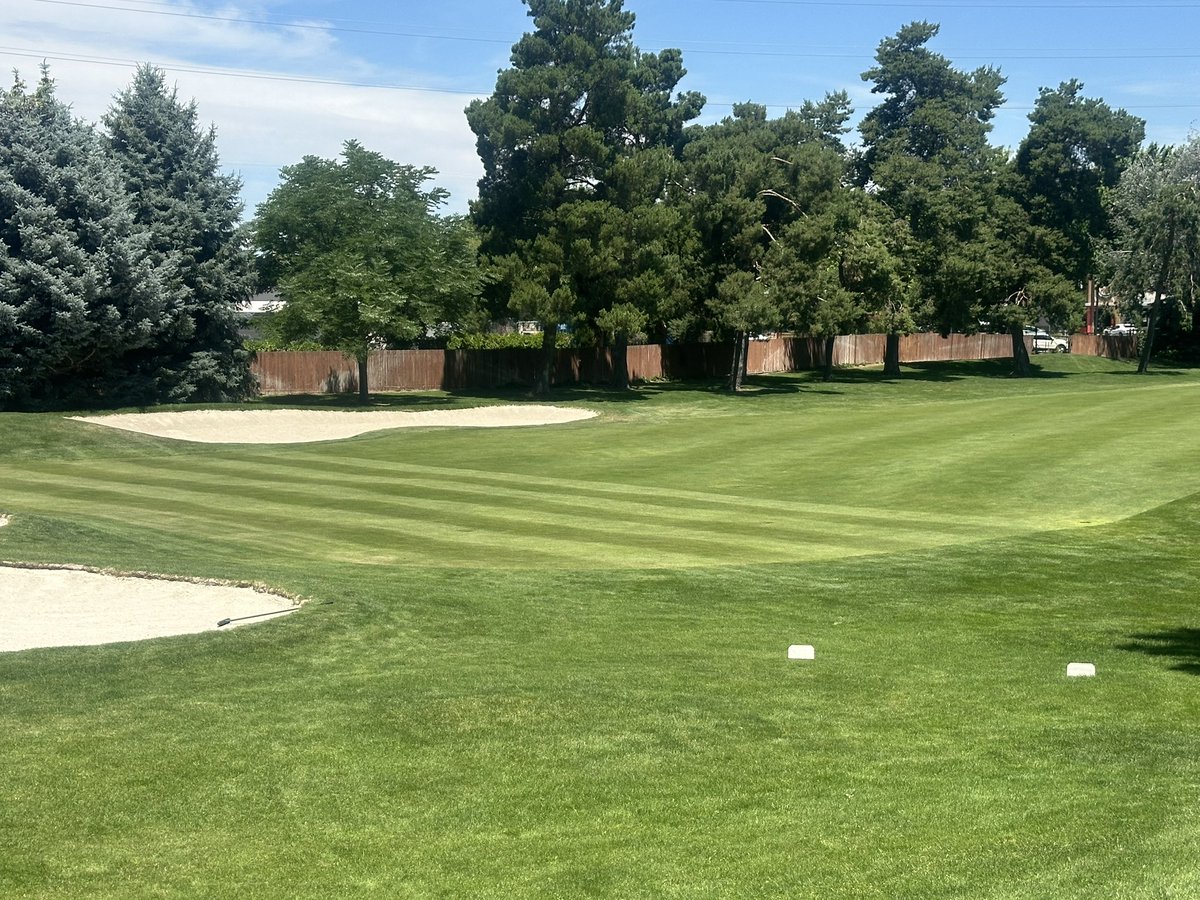 brijon5555's tweet image. Our lead ditch digger @mattgourlaycgcs in 18 months has transformed the weakest area  (approaches) at Hillcrest into one of the strongest