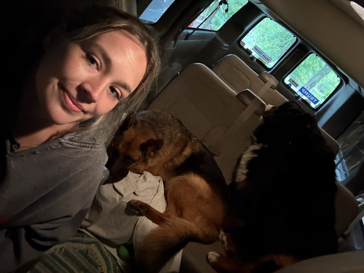 Road trip 😜 #pets #siblings #roadtrip