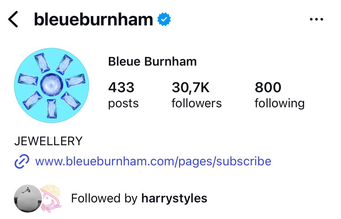 Harry followed Bleue Burnham on Instagram!