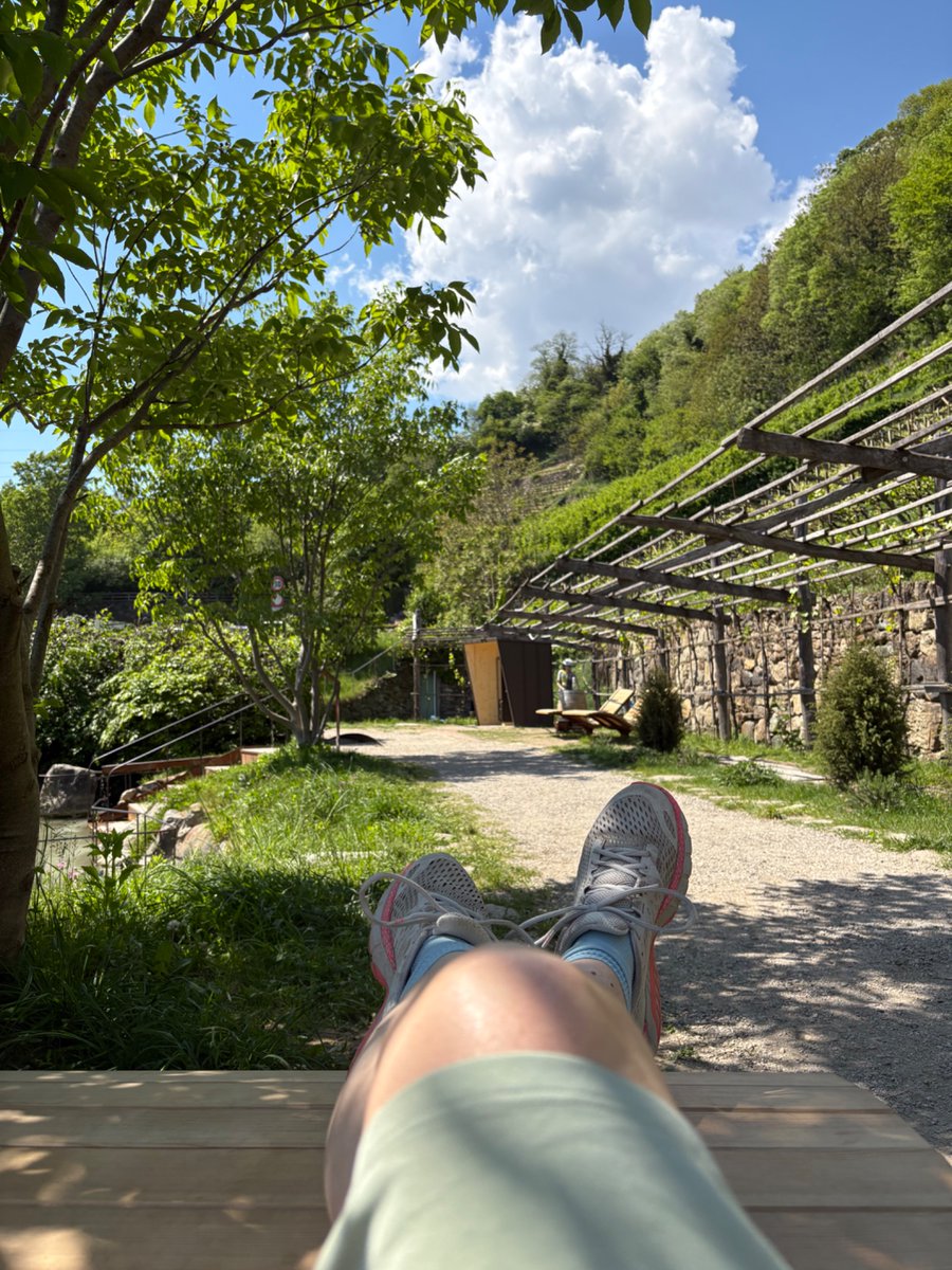 readonly108's tweet image. An den kommenden Tagen, trefft mich auf dem Waalweg oder auf den Almen, im
Biergarten in Forst oder bei Leiter am Waal, bei Vernatsch und Lagrein und Schlutzkrapfen und Knödel Tris…

🫶 #Suedtirol #AltoAdige