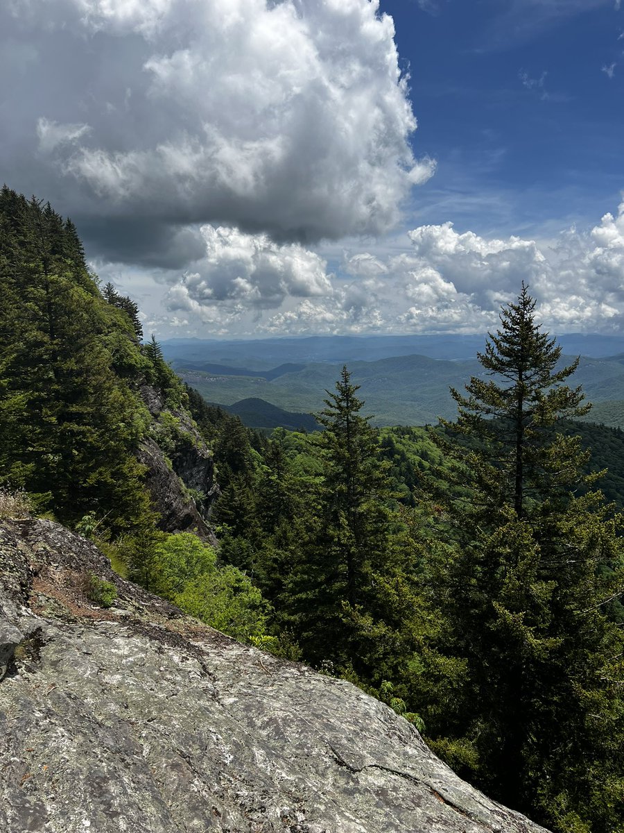 EFisherWX's tweet image. Took a trip above 5000’ on the Blue Ridge Parkway for the first time since Helene today.
It’s too quiet up here for peak rhodo season. Come visit!