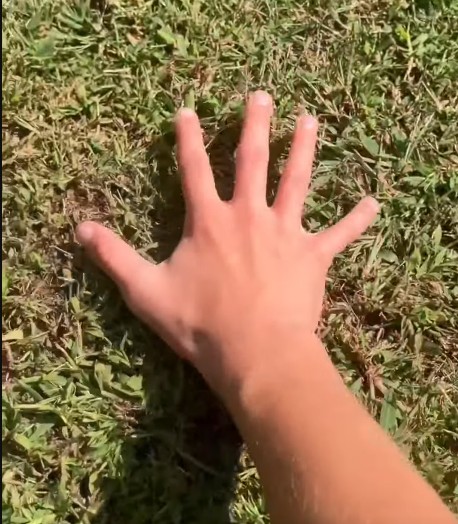 Dkkkfn's tweet photo. Yo #openseatouchgrass https://t.co/WtNH3iTmQq