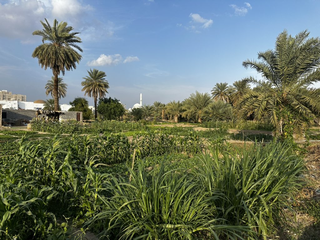 nonet911's tweet photo. #الجزع أحد أشهر المصطلحات المكانية التاريخية في #المدينة_المنورة والجزع هو وسط الوادي أو منحناه، يتسع ويستدير وتكثر فيه الأشجار، ومن أشهر الجزوع في المدينة :
 جزع قباء
جزع البوعي
جزع الزبيريات: نخل الحجار.
جزع الحمام
جزع جرمان
جزع البركة
جزع رواس
جزع الصدق
جزع الفنيل: نخل المسعودية.
جزع المناخة: قطعة باسم الجزع.
جزع الشيخ
جزع النخلة
جزع الزريقات
جزع جفاف
جزع رواش
جزع البقوع
جزع ملحة
جزع السيح
جزع القصر
جزع الصدقة
جزع النويريات، الأسواف، بني عمرو، يثرب، الزبيرية.