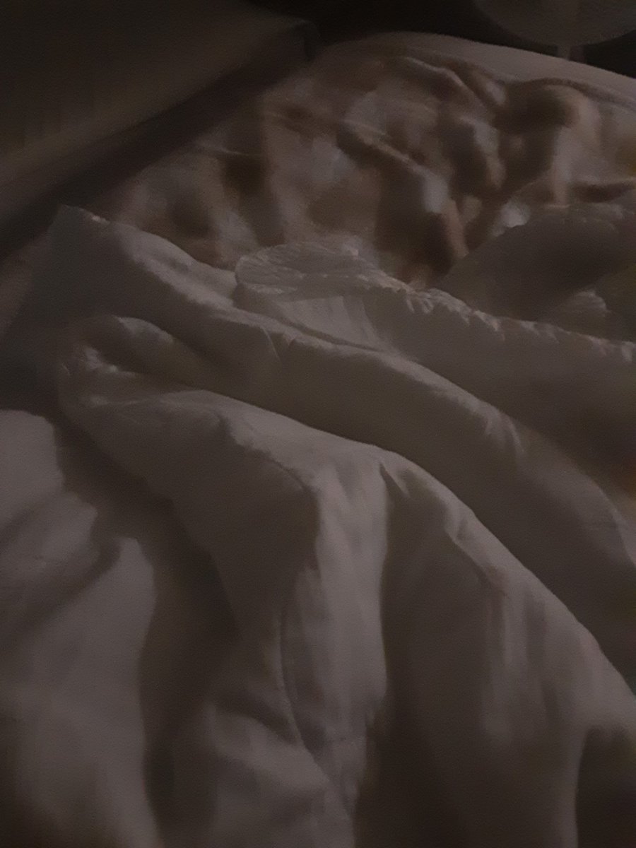 머리 잡고 질질 끌고 다니면서 바닥에 싸지른 정액 청소 시키기 ㅋㅋㅋㅋ 아무 이유 없이 머리채 잡고 뺨 때리면 넌 내 손을 잡을까 아니면
니 엉굴을 보호할까 둘 다 하면 넌 걍 뒤지게 맞는거야 썅련아 넌 그냥 가만히 처 맞으면 돼
기절하면 배빵으로 깨워줄게 병신련아