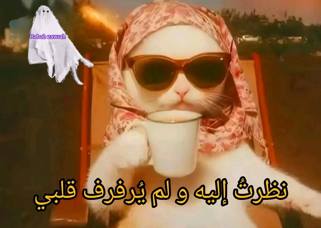CaraaMuu's tweet photo. لماذا رفضتي العريس المتقدم ليك ؟! https://t.co/dcdCYyeg9v