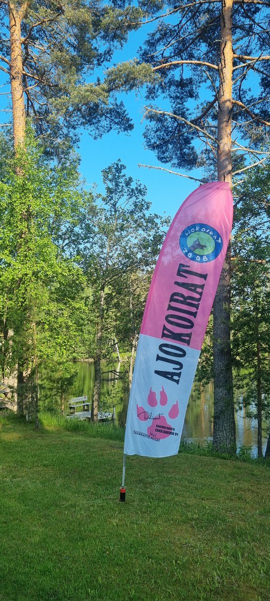 Tänään metsä kutsuu, ja sydän vie poluille, joilla unelmat juostaan todeksi. Jokainen askel on enemmän kuin matka — se on tarina, yhteishenki ja taistelu itsensä kanssa. Tsemppiä kaikille Jukolaan starttaaville!  #Jukola #Ajokoirat #suunnistus <a href="/JukolanViesti/">Jukolan viesti</a>