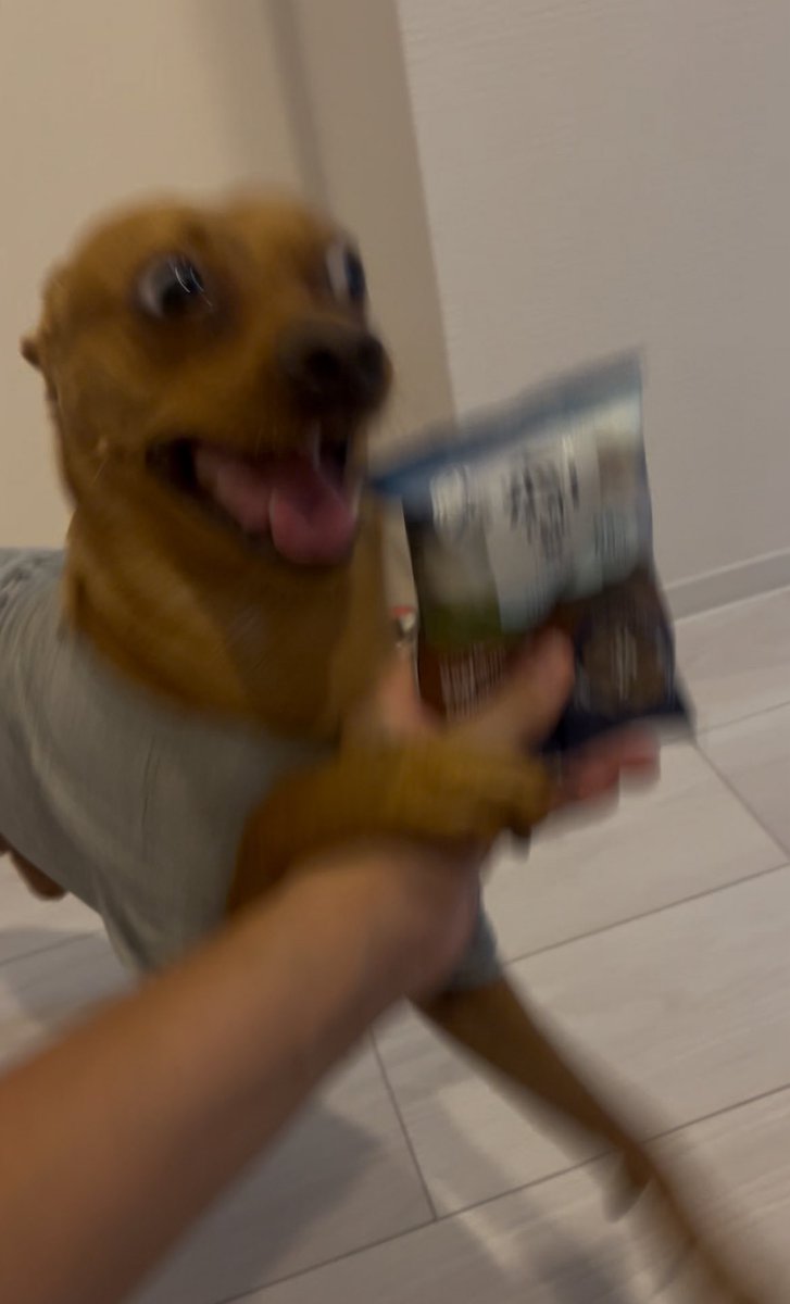 酔うたな〜起きれるか不安やけど寝る😴