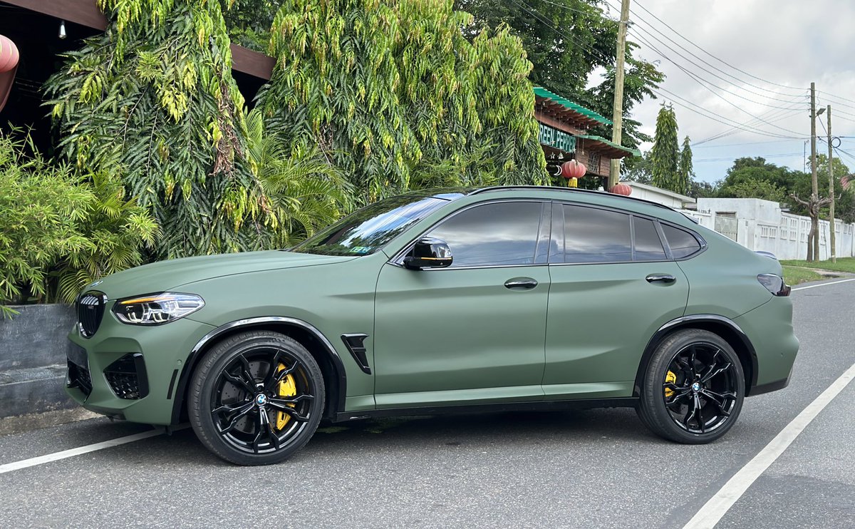 FrankDoe101's tweet image. 💚