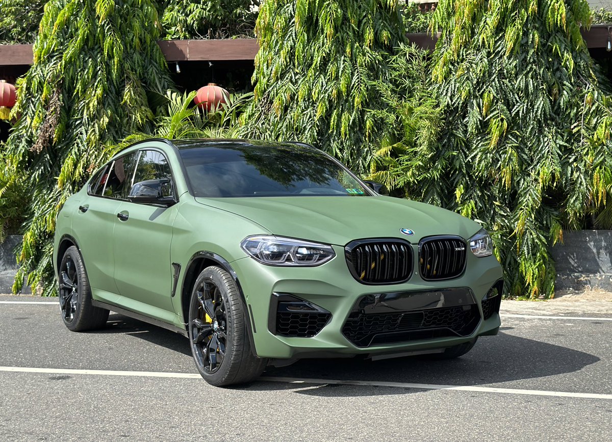 FrankDoe101's tweet image. 💚