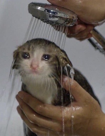 pov me in the post cancellation roo shower
