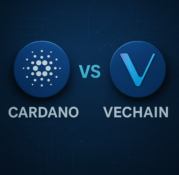 Cheeky Crypto tweet media