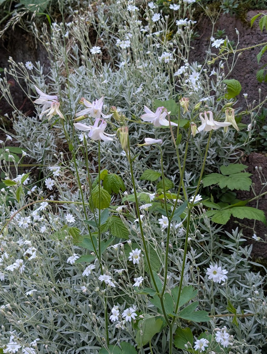 Die Feenhäuschen leuchten zum ins Bett gehen! Das war ein anstrengend heißer Tag heute!