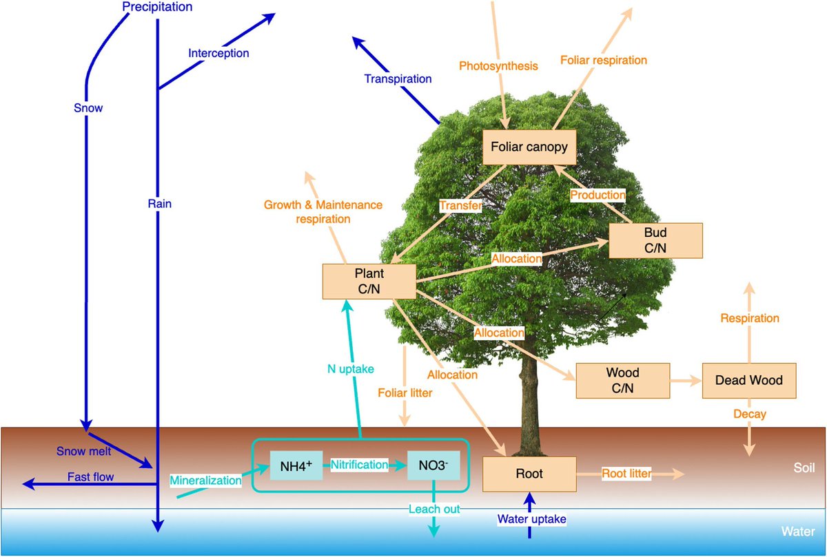 📖Published📖

Gao et al. present the ‘pnetr’ R package, designed to provide an easy-to-manage ecosystem modelling framework and detailed documentation in both model structure and programming. Read more here 👇 

buff.ly/YDKGvPL