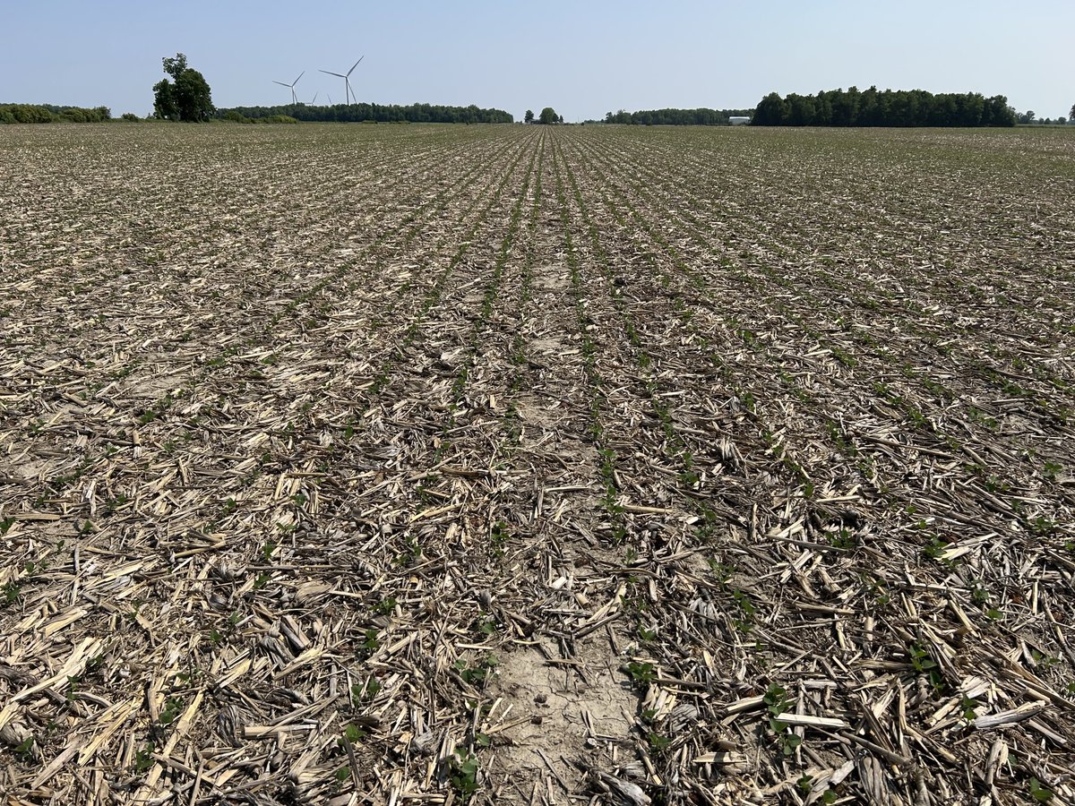 Ryan Benjamins (@ryanbenjamins) on Twitter photo This grower finished planting in May.  It was all hands on deck at the finish.  This field was done with a 30” DB60 that doubled back to narrow the row spacing.  These two rows are hugging last year’s corn rows.  This did a fine job in notill corn stalks. This grower finished planting in May.  It was all hands on deck at the finish.  This field was done with a 30” DB60 that doubled back to narrow the row spacing.  These two rows are hugging last year’s corn rows.  This did a fine job in notill corn stalks.
