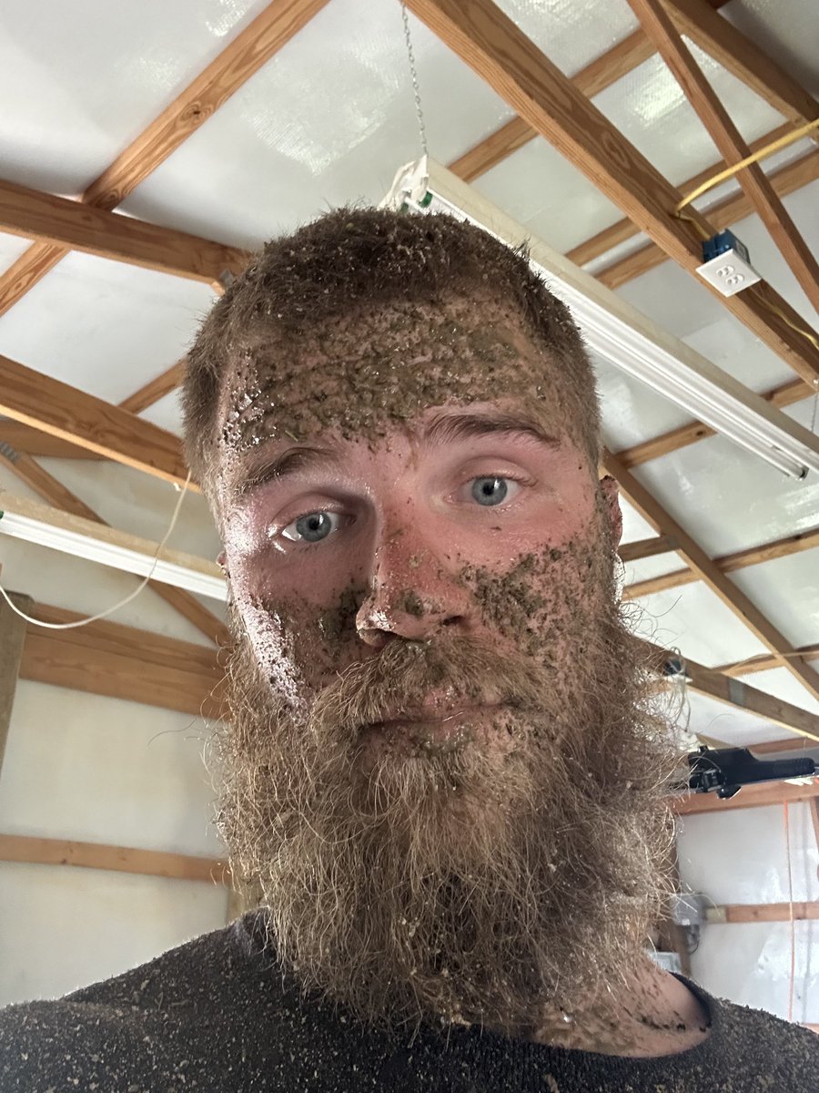 AlexanderApp's tweet image. One way to prove you have a terrible ditch to weed eat 🤣