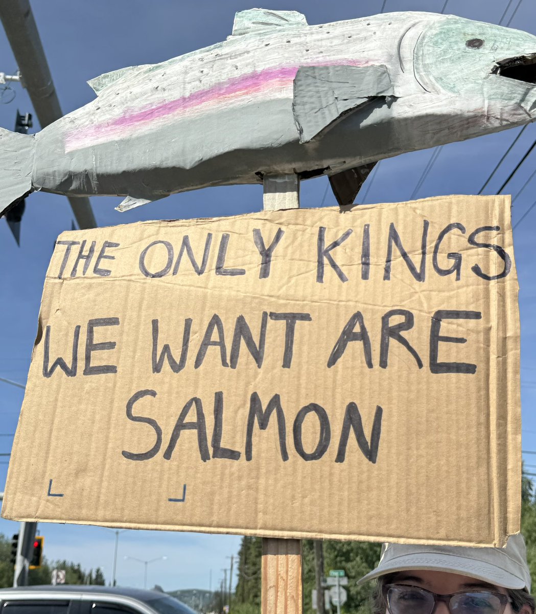 I’m guessing that 1,500-2,000 people of all
ages showed up to peacefully protest Trump in Fairbanks. One of my favorite signs. #alaska #nokings #NoKingsDay