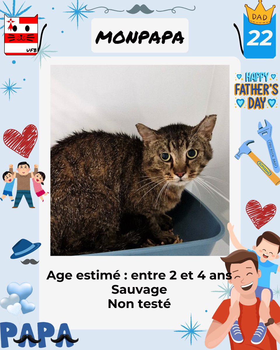 Je suis en fourrière en Bretagne dans le dépt 22  
Je suis à ADOPTER                  
 afin de me sauver de l'euthanasie.        
mais avant le 20 Juin               
Renseignements : Urgences Fourrières de Bretagne :              Lien⤵️ facebook.com/urgencesfourri…………