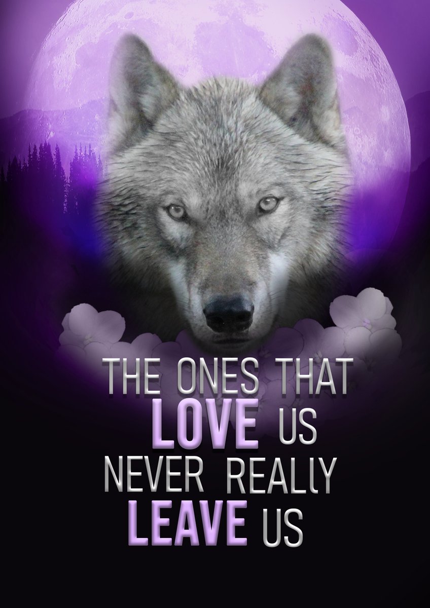 made a poster/tshirt design for my fiance's sister for her birthday :3 i think it came out looking pretty good 
#photoshop #tshirtdesign #graphicdesign