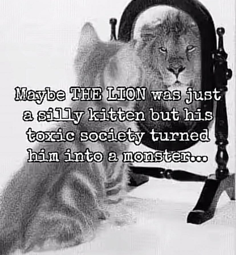 eva˚₊‧⁺⋆♱ (@0xsillyangel) on Twitter photo 