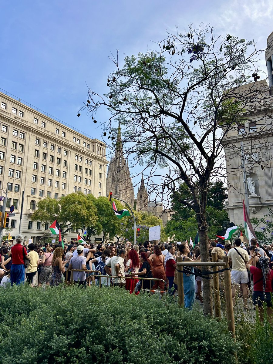 silvenaapv's tweet photo. Des de Barcelona fins a Gaza 🖤🇵🇸 Juntes per aturar el genocidi. https://t.co/IZeDgZjEcA