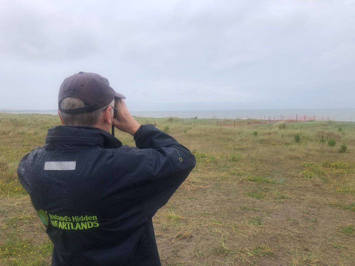 BirdwatchMeath's tweet image. There was a low &quot;Tern&quot; out for today&apos;s event. But Franck and Terry enjoyed watching the Little Terns of Baltray Beach where up to 125 nests have already been established. @NatureNymph @BirdWatchIE @LouthBW
