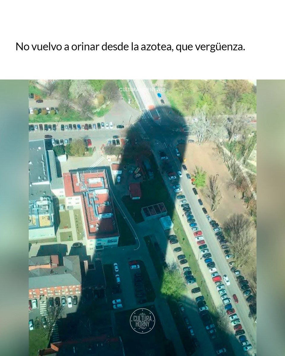 Cultura Horny (@culturahorny) on Twitter photo 