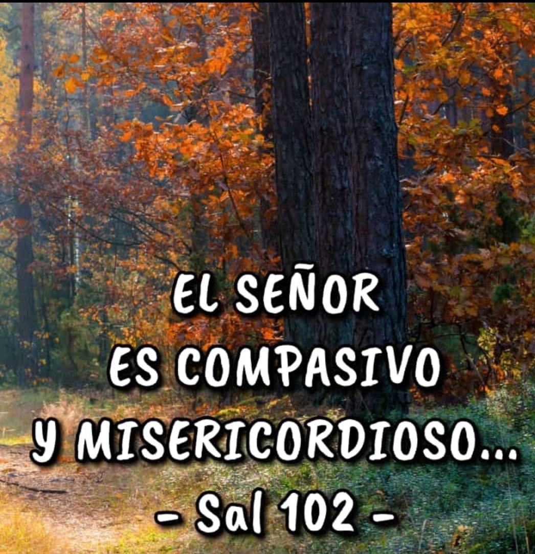 cuidado, detalle, amor (@creercuidar) on Twitter photo 
