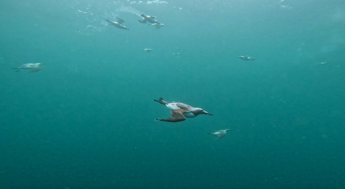 Today we headed back to Oban after finishing our second week tour based from Barra. As ever a mix of weather but some epic adventures around the isles.