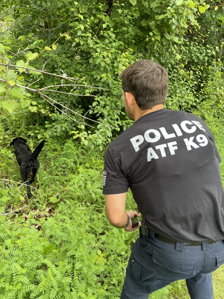 ATF K-9 Taylor and her handler are hard at work looking for evidence at a variety of crime scenes related to the targeted attacks on MN state legislators today. Political violence is unacceptable, and ATF will do its part in bringing Justice to the perpetrator(s).