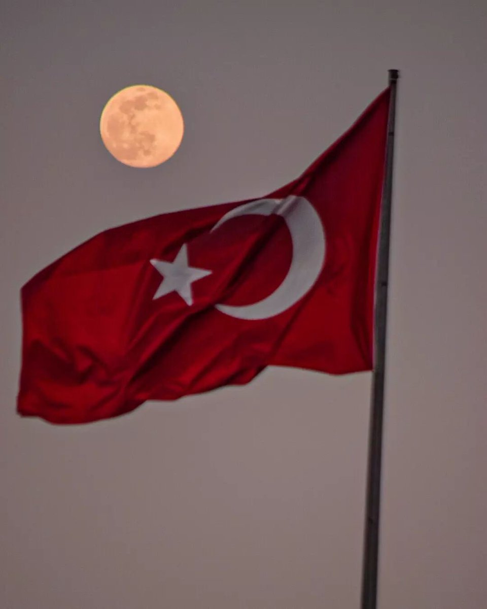 🐺 𐰏𐰇𐰚𐰋𐰇𐰼𐰇 (@gokboruizinde) on Twitter photo 