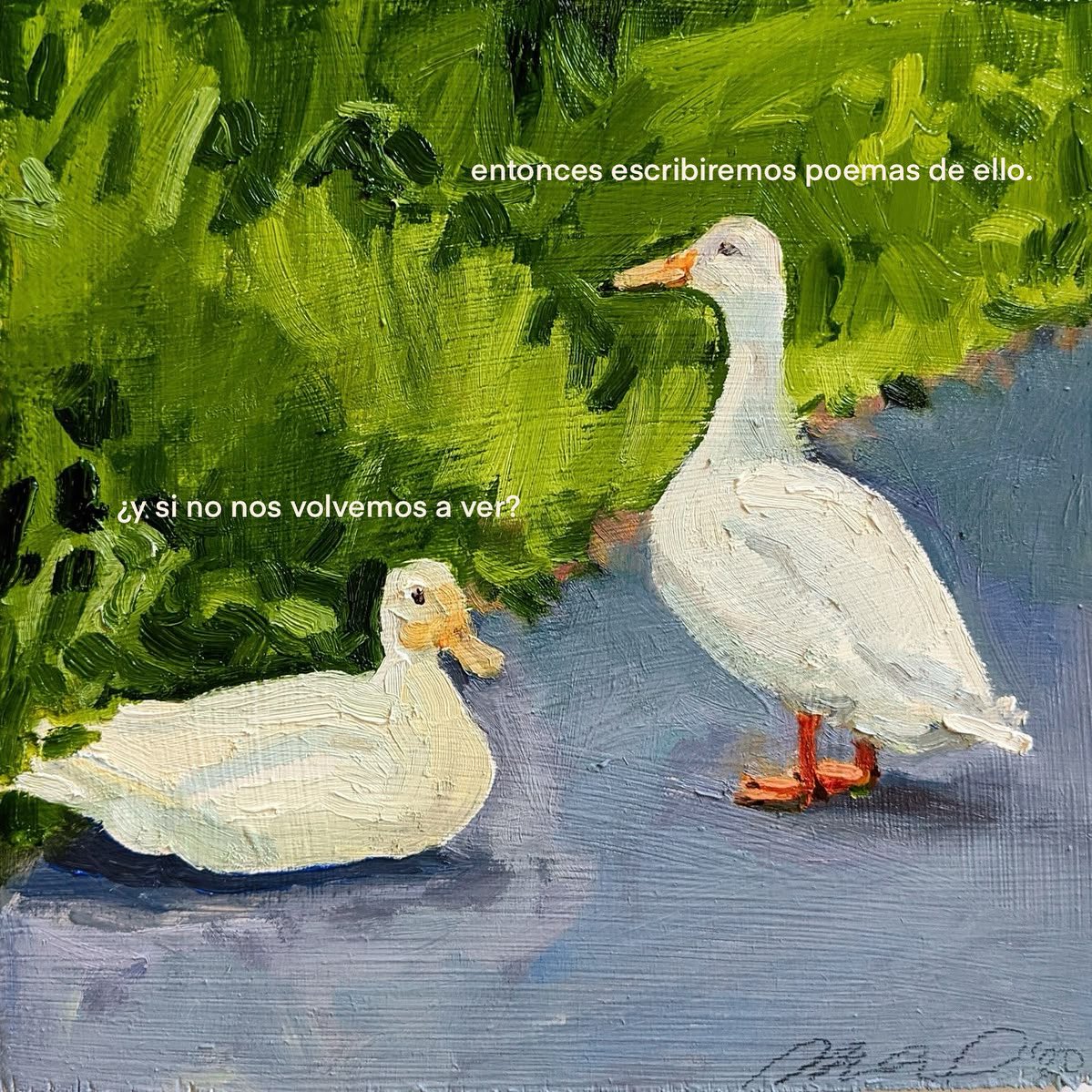 mara urbina tweet media