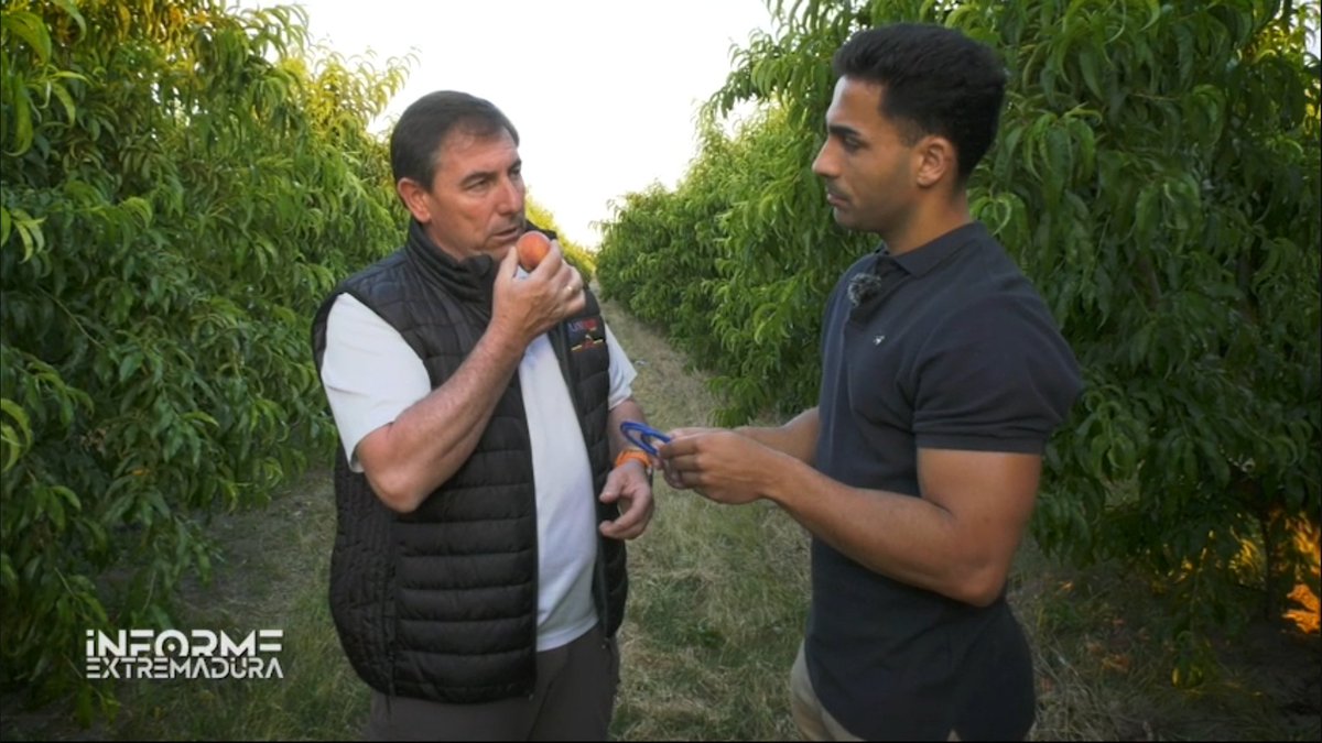 Informe Extremadura tweet media