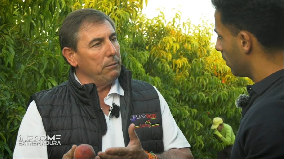 Informe Extremadura tweet media