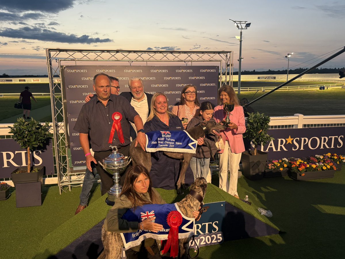TowcesterRaces's tweet image. BGBF TruFrame Champion Stakes
Romeo Steel
28.87