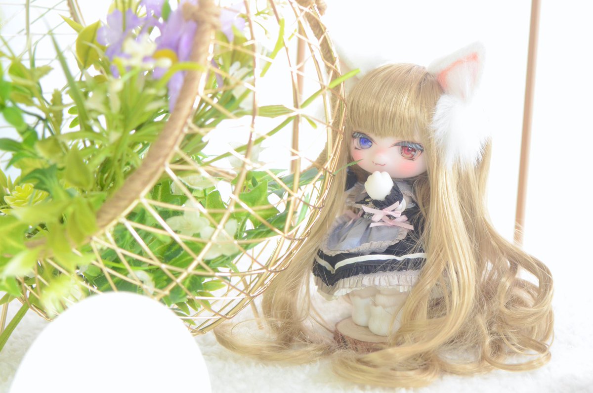 waterway000's tweet photo. #おはドル
#うちのこかわいい
#mmdo
おはようございます☀
日曜日ですね🌼
梅雨入りしたので雨ばかりですが、良い休日をお過ごしください😊 https://t.co/EOThlIOtJt