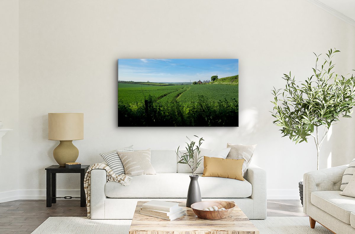 LunaSpringerUK's tweet photo. Breathe in the calm. 'A Summer Walk on the Farm' captures those slow, golden moments we wish we could bottle  These countryside canvas prints are perfect for adding a sense of peace to any room. All 15% off until Sunday, June 15th!

https://t.co/DzUnPOa6zl https://t.co/Rghw1vXQzW