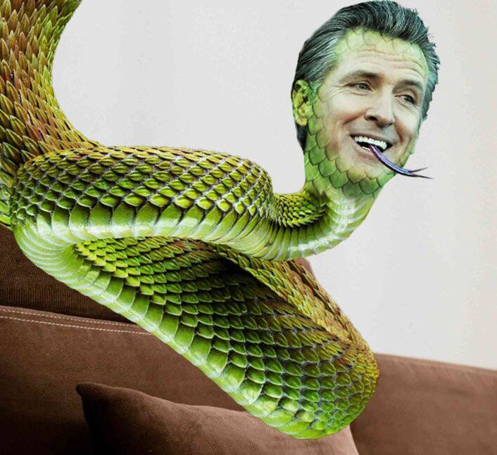 The identification is complete, and the degree of recognition is 100%