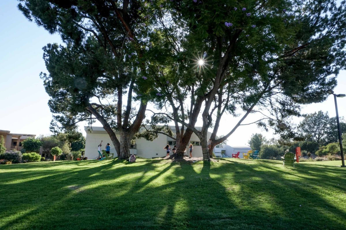 suzuki_la's tweet photo. We'll see our Teen Dorm/Young Artists tomorrow, Sunday, June 15th at 4:00. Everyone else should arrive on Monday, June 16th at 8:30. Check your newsletter for event page. Looking forward to seeing everyone! https://t.co/UHCwoiuBdd