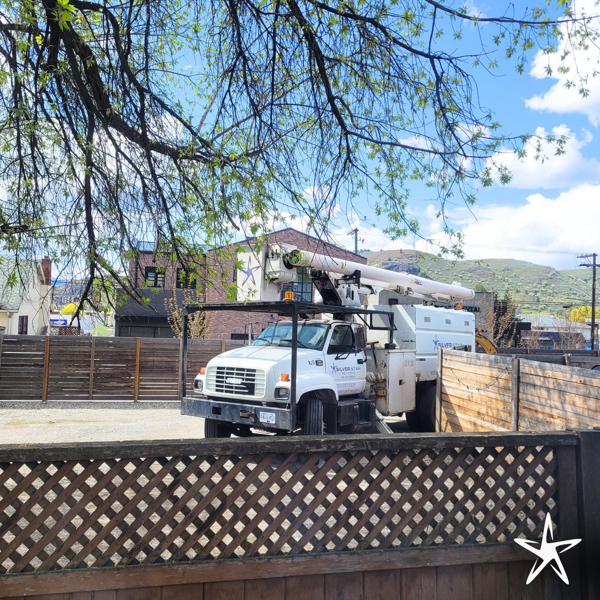 silverstartree's tweet image. Spring Canopy Care 🌿
Our expert crew is out ensuring healthy branches and safe surroundings with professional pruning and maintenance.

🌳 Book your spring tree service today at silverstartree.com

#TreeCare #SpringPruning #TreeTrimming #HealthyTrees #SilverStarTree