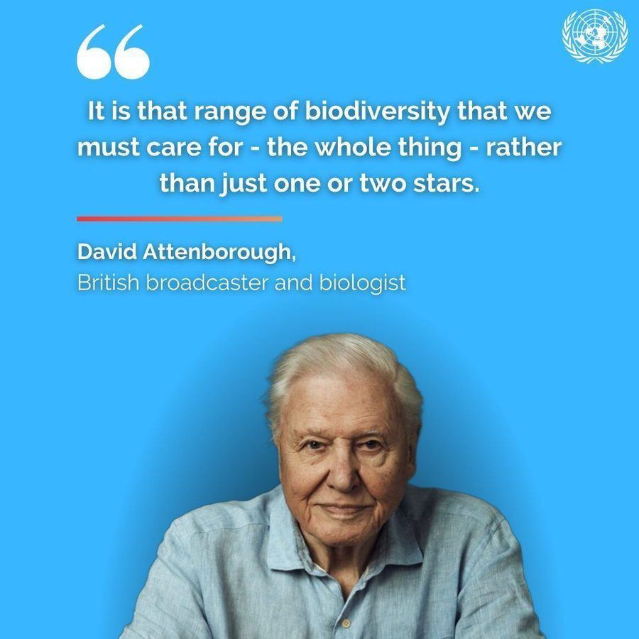 "It is that range of #biodiversity that we must care for - the whole thing - rather than just one or two stars."

<a href="/UNEP/">UN Environment Programme</a> Champion of the Earth David Attenborough's dedication to nature conservation aligns with the UN's mission for #SustainableDevelopment &amp; environmental protection