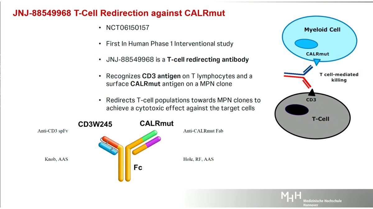 MPN_Hub (@mpn_hub) on Twitter photo CONGRESS | #EHA25 | PRESENTATION
Immune therapy in #MPN was discussed by <a href="/FlorianHeidel/">FlorianHeidel</a>, Hannover Medical School, including:
▪️ mutant calreticulin as a neoantigen
▪️ the potential of checkpoint inhibitors, particularly given alterations in the global signalling landscape CONGRESS | #EHA25 | PRESENTATION
Immune therapy in #MPN was discussed by <a href="/FlorianHeidel/">FlorianHeidel</a>, Hannover Medical School, including:
▪️ mutant calreticulin as a neoantigen
▪️ the potential of checkpoint inhibitors, particularly given alterations in the global signalling landscape
